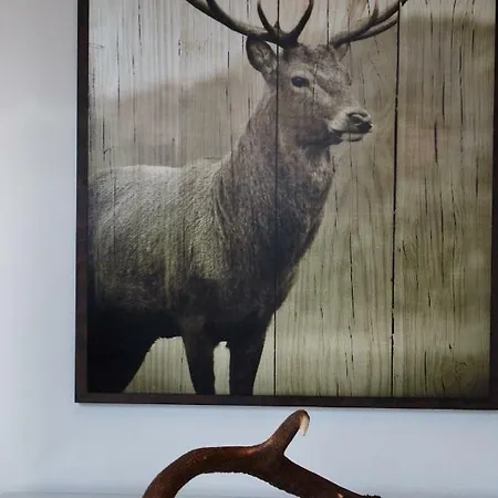 Penthouse Great View Apartman *