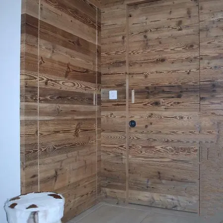 Penthouse Great View Διαμέρισμα Σεντ Μόριτζ