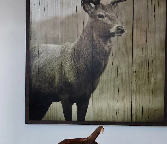 Penthouse Great View Apartment *